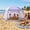 Lilac, variant on Large Pop Up Play Tent for Kids, 78" Instant Toddler Playhouse with Removable Floor & UV50+ Sun Shade, 360° Mesh Mosquito-Free Tent for Indoor Outdoor Beach Backyard, Fits 4 Kids