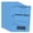 Blue, variant on Parking Permit Hang Tags, 500 Pack, Temporary Parking Passes, Bulk Pack, Custom Passes Numbered 1-500, 3.15" x 4.75" Placards for Rearview Mirror by Better Office Products (Orange)