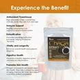 thumbnail image 4 of Sayan Herbal Tea, Chaga Mushroom Extract Powder, Siberian Wild Forest Detox Tea (Black, 2.2 lb), 4 of 7