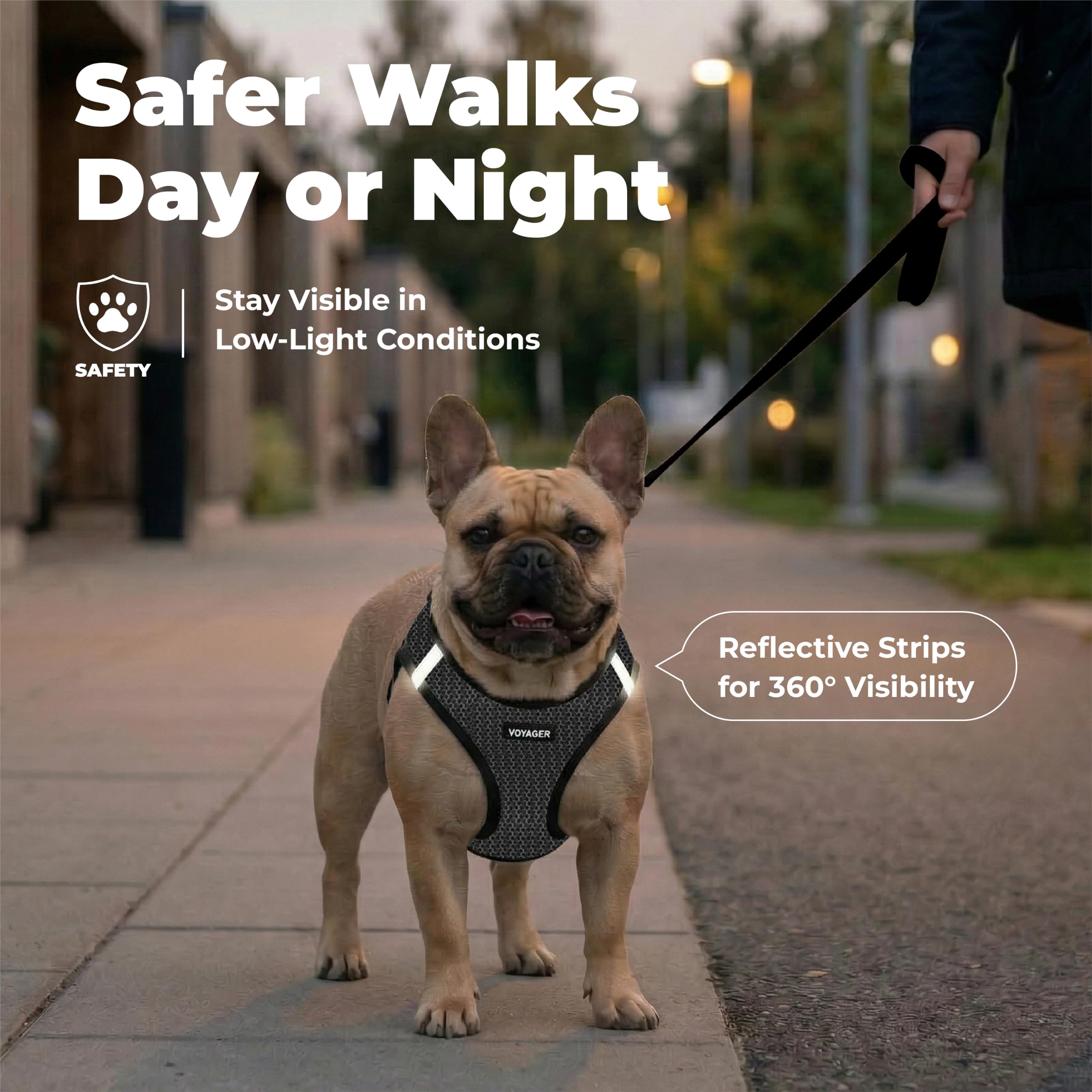 Voyager Step-In Air Mesh Dog Harness photo 4