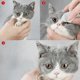 thumbnail image 3 of 130 piezas/juego de toallitas limpiadoras para perros y gatos, toallitas para los ojos de las mascotas, toallitas para el cuidado de las lágrimas, toallitas suaves sin espuma, toallas, 3 of 5