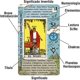 thumbnail image 2 of Cartas de Tarot TAROTIKA mazo para principiantes con significados en español, 2 of 6