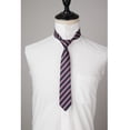 thumbnail image 4 of Boy's Striped Tie with Pocket Square Set Formal Necktie for Children and Kids Self-Tied, 4 of 6