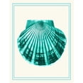 thumbnail image 2 of Fab Funky 15x18 White Modern Wood Framed Museum Art Print Titled - Mixed Nautical Turquoise on Cream d, 2 of 4