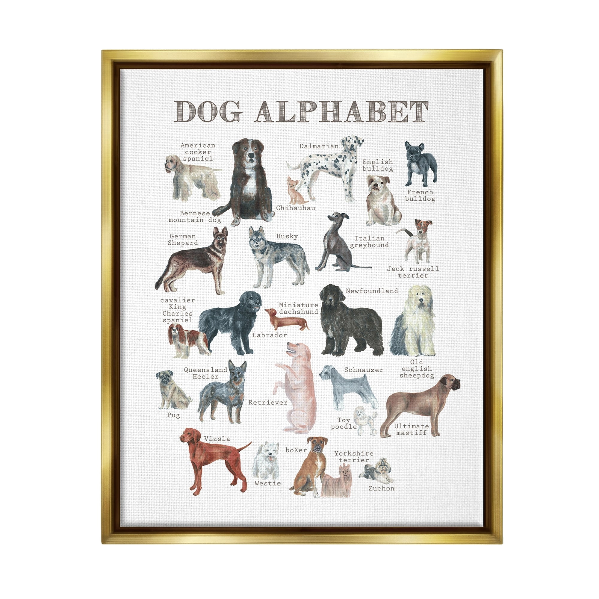 Stupell Industries Dog Alphabet Multiple Breeds Educational Animals Chart Graphic Art Metallic Gold Floating Framed Canvas Print Wall Art, Design by Dishique