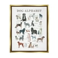 thumbnail image 3 of Stupell Industries Dog Alphabet Multiple Breeds Educational Animals Chart Graphic Art Metallic Gold Floating Framed Canvas Print Wall Art, Design by Dishique, 3 of 5