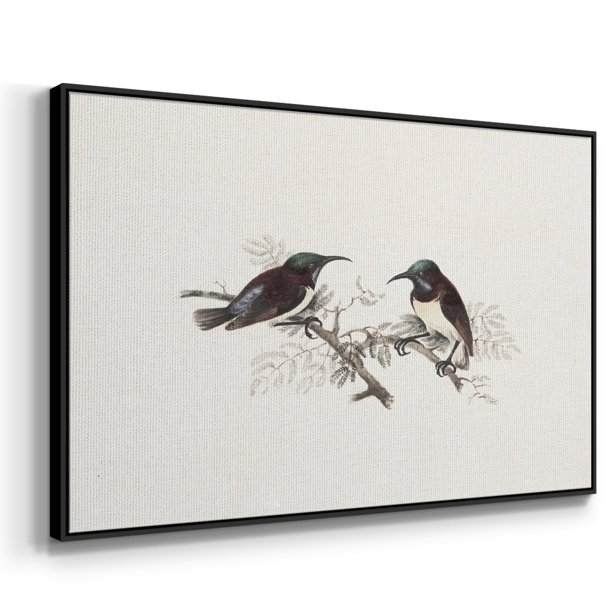 Vintage Animal Print-III By Wexford Home Framed in Black Wood Gallery Wrapped Canvas 25 in. x 37 in.