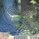 thumbnail image 2 of 10x Fish Guard Grid Plástico Rejilla flotante Protector de estanque de red Cola Protectores de estanque, 2 of 8