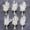 Pure White, variant on Mini Dried Flower Bouquet (Pack of 6), Handmade Craft Decoration, White Dried Flower Bouquet, Groom and Best Man Corsages. (White)