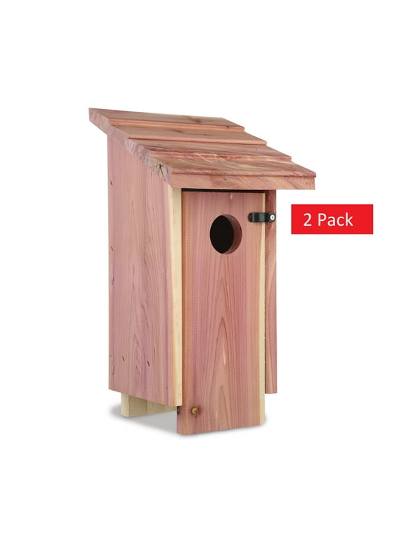Bird Houses in Bird Feeders and Bird Houses