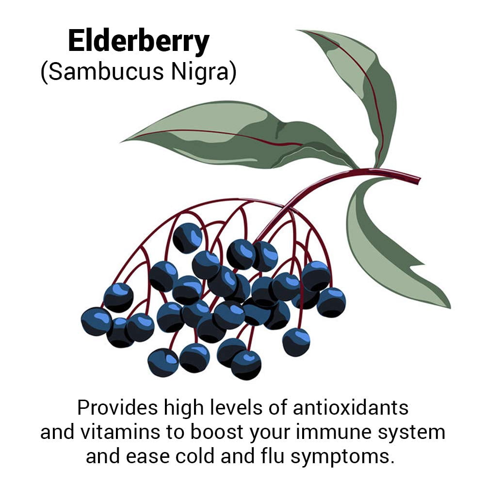 Approved Science Immune Booster - Extra Strength Support - Elderberry Extract, Echinacea, Vitamin D3 and C, Zinc - All Natural - 180 Capsules - 3 Months Supply