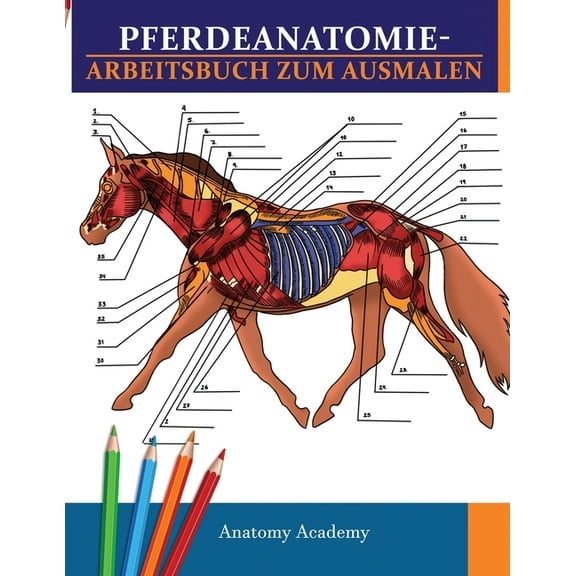 Pferdeanatomie-Arbeitsbuch zum Ausmalen: Unglaublich detailliertes Pferdeanatomie-Arbeitsbuch zum Ausmalen mit Selbsttes, (Paperback)