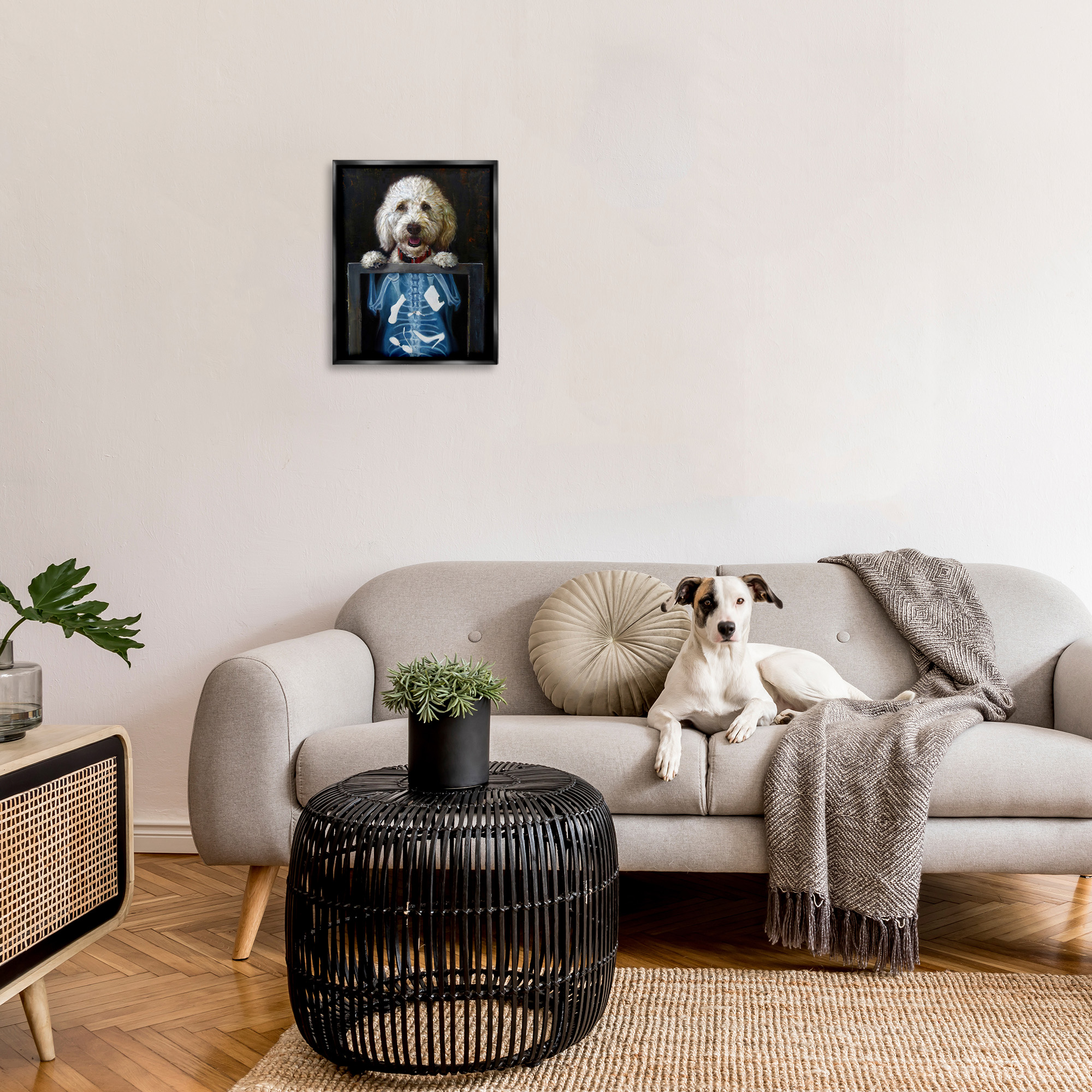 Stupell Industries Funny Dog X-Ray Snacks Animals & Insects Painting Black Floater Framed Art Print Wall Art
