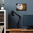 thumbnail image 3 of Stupell Industries Cat Eyes Animal Photograph Framed Wall Art by Matthias Conrad, 3 of 5