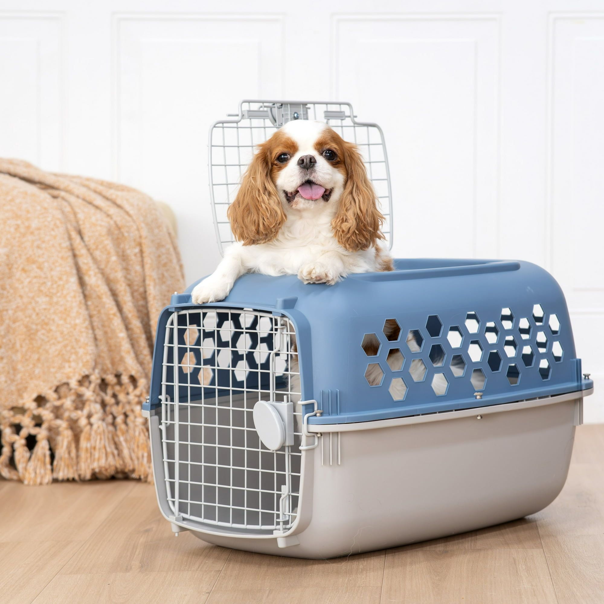 Dog & Cat Kennel 24 Inch - Plastic Pet Carrier with Double Doors - Multi-Colored Travel Kennel for Small Animals - Secure & Ventilated Design