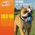 thumbnail image 3 of Nerf Dog Canister of Tennis Balls, Non-Squeak, 2.5 inch, 3 Pack, 3 of 10