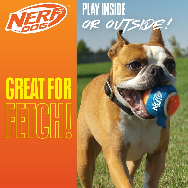 Nerf Dog Canister of Tennis Balls, Non-Squeak, 2.5 inch, 3 Pack