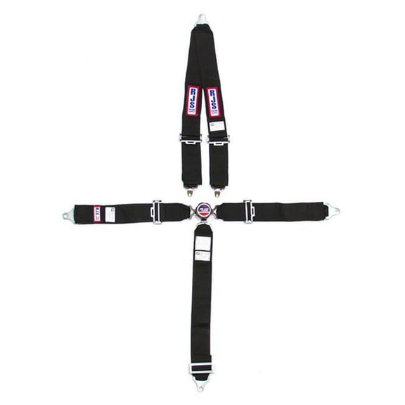 RJS Racing Equipment 1030101 5-Point Cam-Lock Racing Harness Black