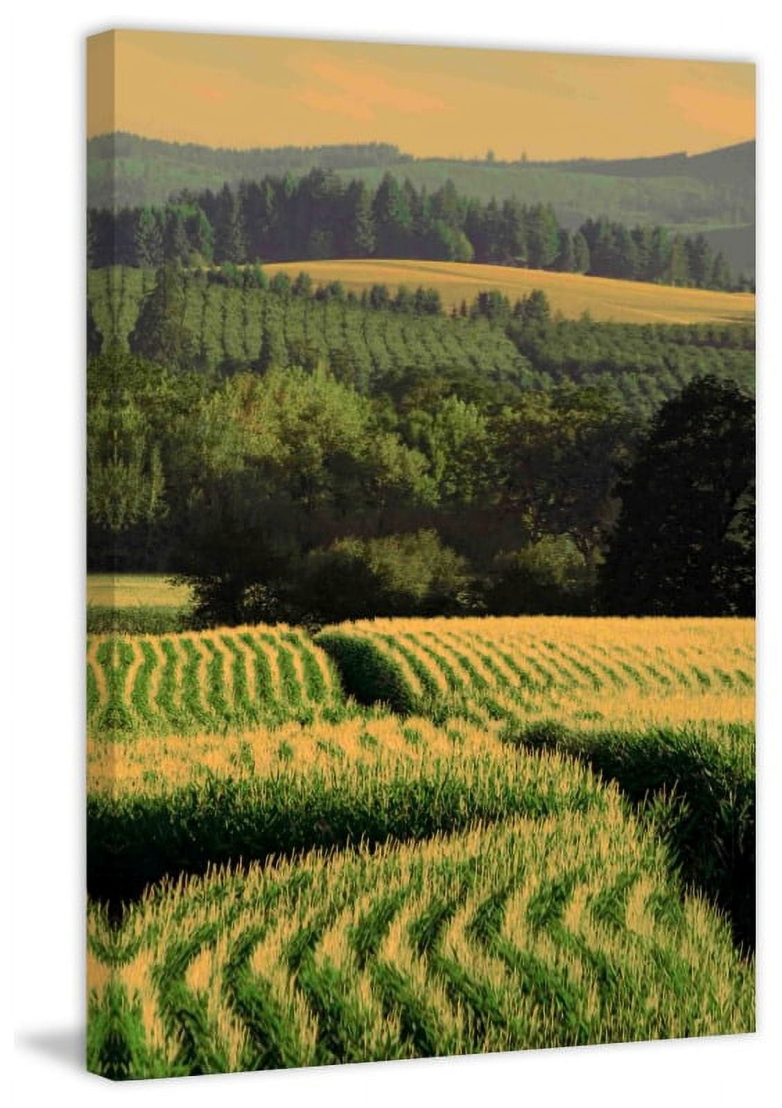Marmont Hill "Corn Rows" Painting Print on Canvas