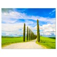 thumbnail image 2 of White Road through Cypress Trees - Oversized Landscape Wall Art Print, 2 of 3