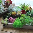 thumbnail image 5 of Fake Flower Bouquet Plastic Artificial Queen Of Flowers Simulation Artificial Succulent Plants For Home Decoration Garden Wall Arrangement,White Household Imitation, 5 of 8