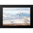 thumbnail image 2 of Schell, Jennie Marie 14x10 Black Modern Framed Museum Art Print Titled - Trumpeter Swans Winter Flight, 2 of 5