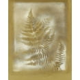 thumbnail image 2 of Stramel, Renee W. 26x32 White Modern Wood Framed Museum Art Print Titled - Shadows and Ferns IV, 2 of 4
