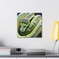 thumbnail image 6 of "Green Tree Python Beauty" - Canvas, 6 of 25