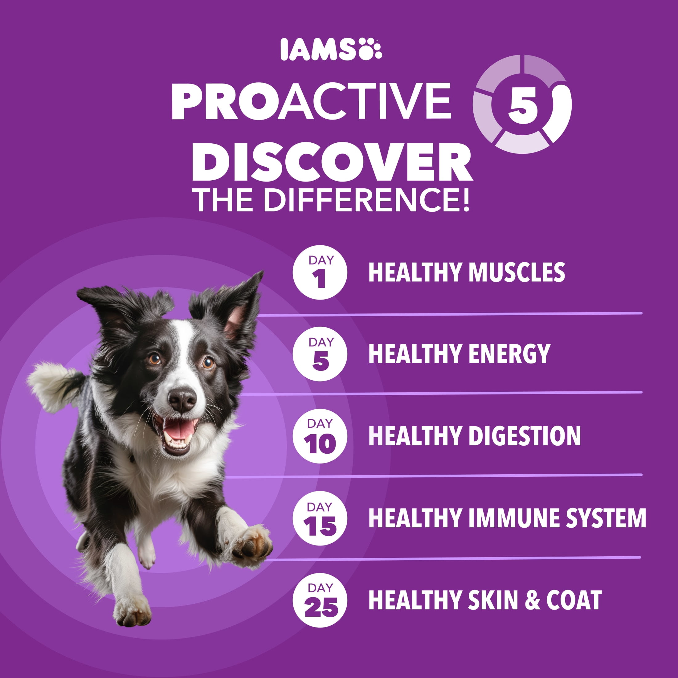 IAMS Advanced Health Dry Dog Food for Healthy Digestion, Adult Dog Food, Real Chicken, 6 lb. Bag