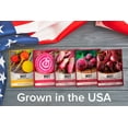thumbnail image 5 of Beet Seeds For Planting | 5 Variety Pack, 5 of 7