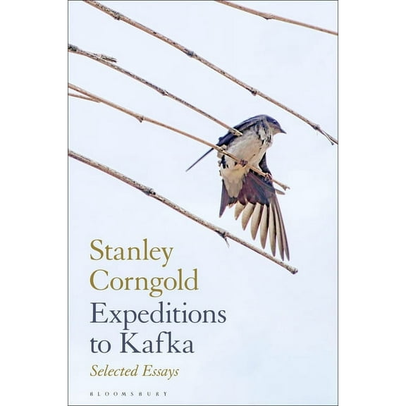 Expeditions to Kafka: Selected Essays, (Paperback)