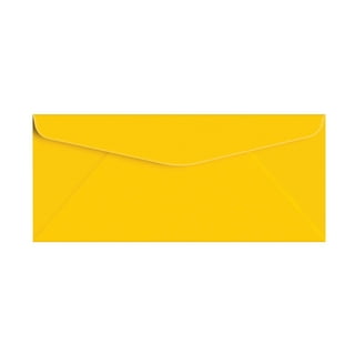 Plastic Envelopes, 10 Pack, A4, Letter Size, Plastic Envelopes