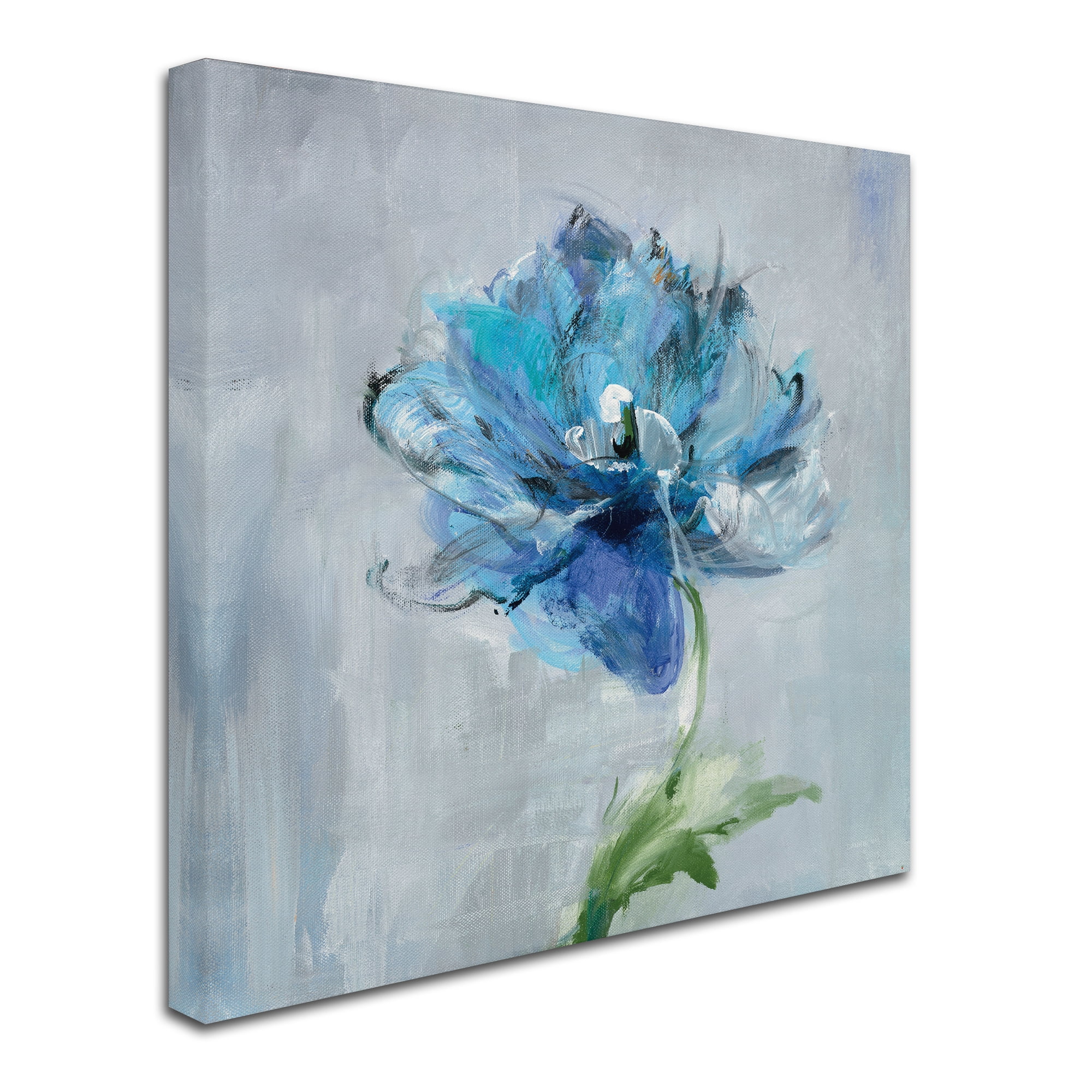 Trademark Fine Art 'Floral Bloom II v2' Canvas Art by Danhui Nai