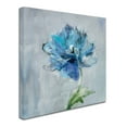 thumbnail image 2 of Trademark Fine Art 'Floral Bloom II v2' Canvas Art by Danhui Nai, 2 of 3