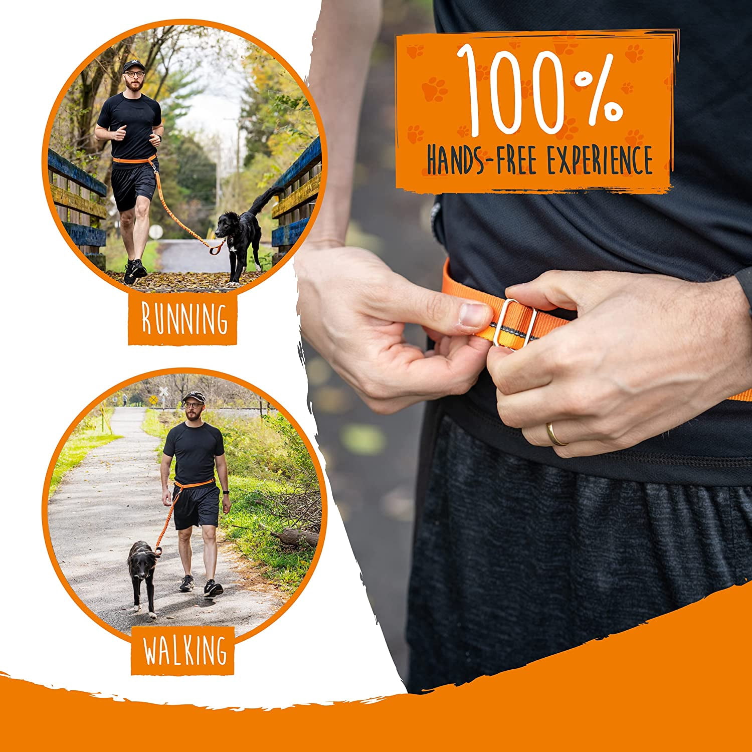 Mighty Paw Hands Free Bungee Leash 2.0 | 4? Dog Lead W/ Dual Padded Traffic Handles For Running, Hiking & Jogging.