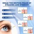 thumbnail image 4 of Suero para Pestañas y Cejas QIC con 15 Extractos Vegetales para el Crecimiento, 4 of 9