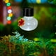 thumbnail image 3 of Comedero para Aves con Energía Solar Colgante, Luz LED Impermeable para Exteriores, Diseño de Pequeña Araña, Decoración de Jardín con Panel Solar para Alimentar Aves Silvestres., 3 of 3
