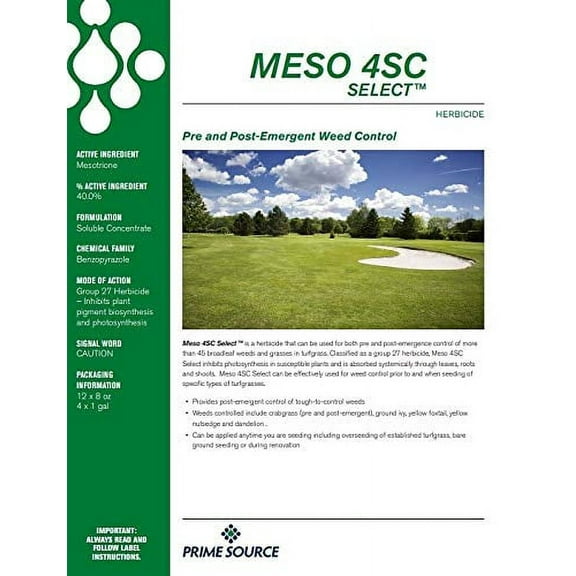 Primesource Meso 4 SC Select