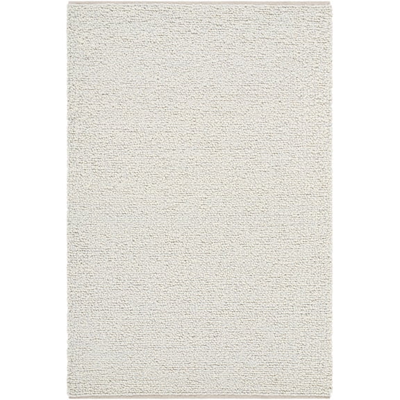 BoutiqueRugs Priya Traditional, Transitional Area Rug - Light Silver, Pale Slate, Ash - 2' x 3'