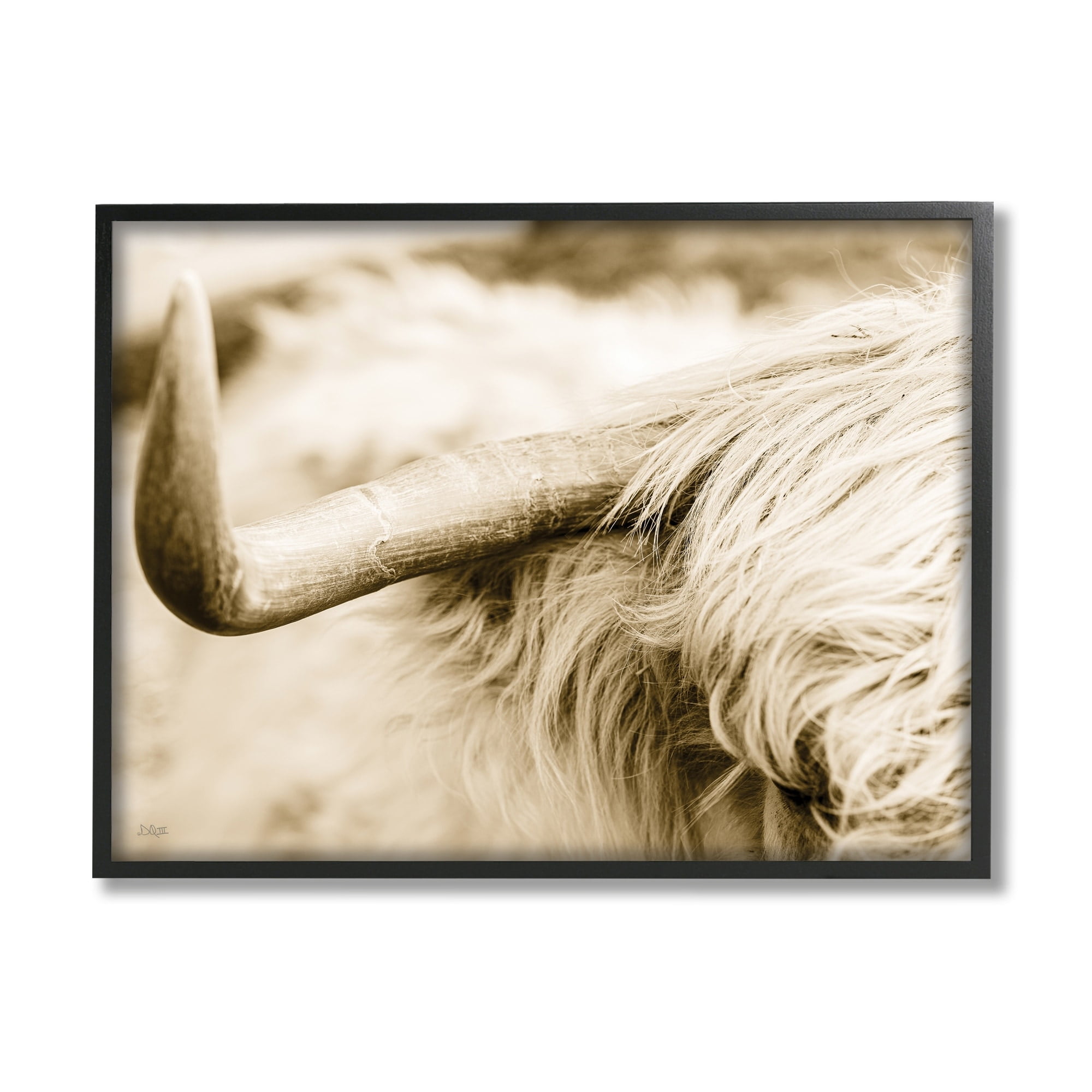 Stupell Industries Beautiful Longhorn Highland Cattle Horn Sepia Photography Photograph Black Framed Art Print Wall Art, Design by Donnie Quillen