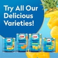 thumbnail image 2 of Dole Canned Pineapple Slices Fruit In Heavy Syrup 20 oz - 5 Pack, 2 of 5