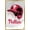 Gold Framed Version, variant on MLB Philadelphia Phillies - Drip Helmet 22 Wall Poster, 22.375" x 34"