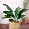 thumbnail image 5 of 32" Greenery Living Room Tropical Fake Plant Faux Banana Tree Home Decoration Artificial Palm GREEN, 5 of 8
