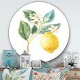 thumbnail image 3 of Designart « Floursack Lemon I » Art Mural Rond en Métal Style Ferme, 3 of 3
