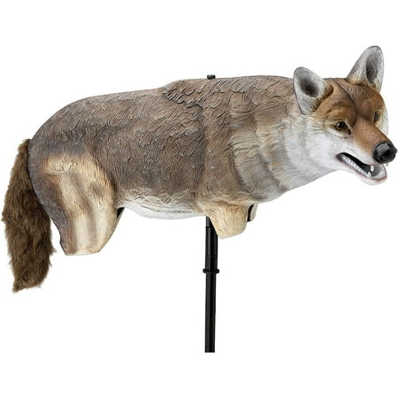Yote Coyote Decoy