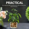 thumbnail image 4 of Laklulu Plantas verdes artificiales en escritorio y frasco de vidrio transparente, 4 of 5
