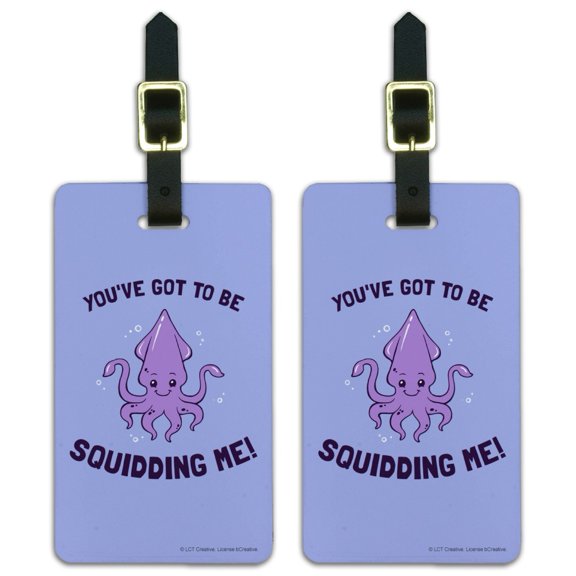 You've Got to be Squidding Me Kidding Funny Humor Luggage ID Tags Suitcase Carry-On Cards - Set of 2