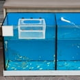 thumbnail image 4 of Toyvian Aquarium Fish Box with Plastic Frame and Polyester Net for Fish Breeding, 4 of 6