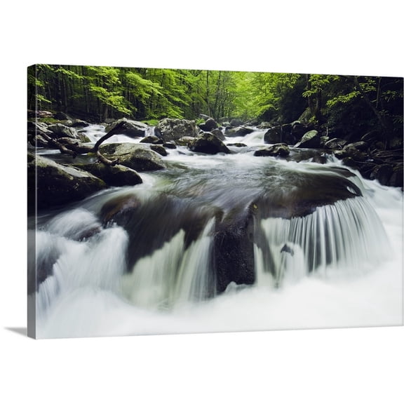 Great BIG Canvas | "Curved Cascade On The Middle Prong River, Great Smoky Mountains, Tennessee" Canvas Wall Art - 48x32