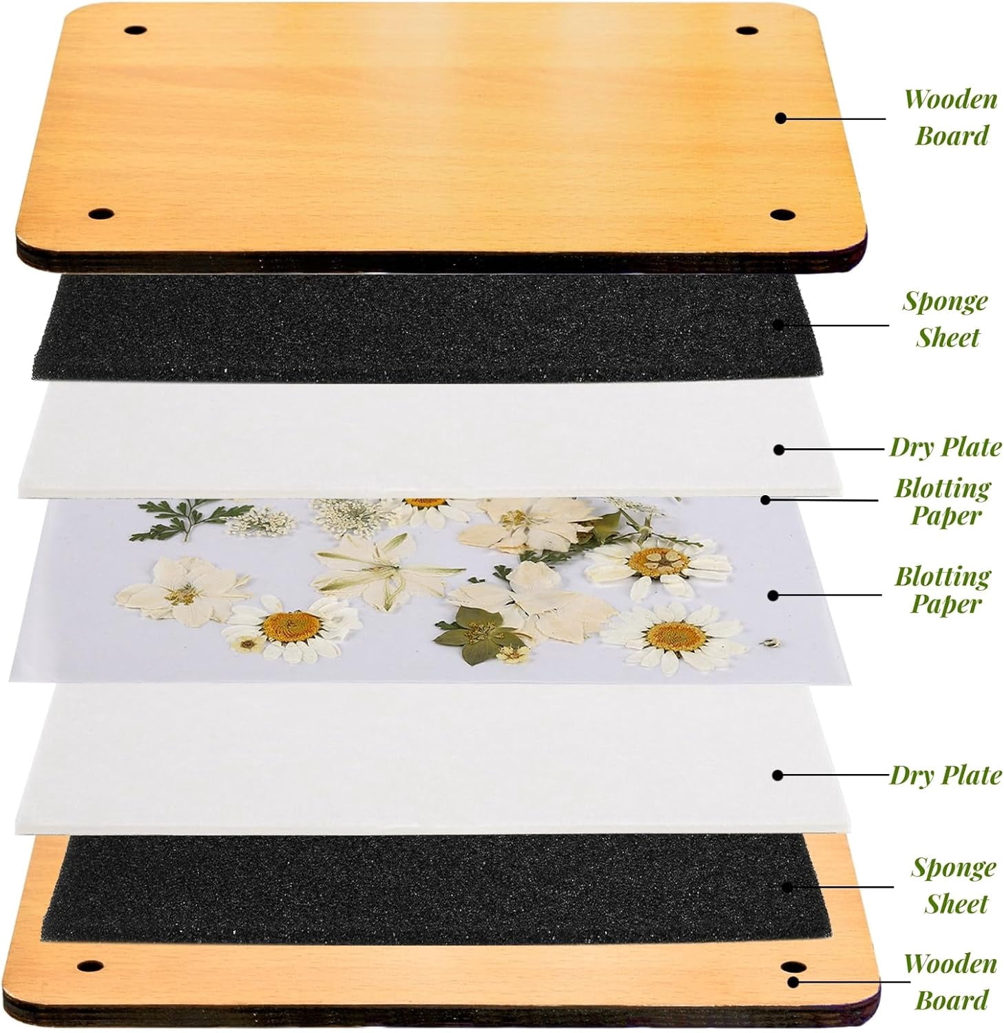 DF 54Pcs Flower Press Kit, 7" x 9.5" 6-Layer Wooden Leaves Pressing Kit for Adult, Solid Wood Book Pressed Plant Preservation Kit, DIY Arts Dried Flowers Craft Tool for Children Gift